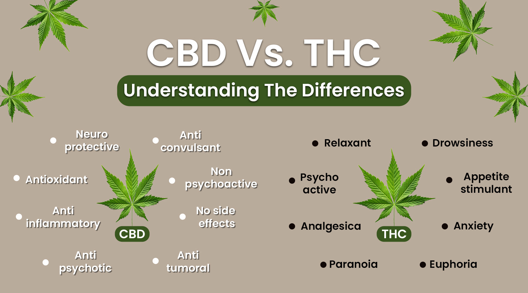 cleancannaoil_Cbd_Vs_Thc_Understanding_The_Differences_blog_banner.jpg?v\u003d1712325979