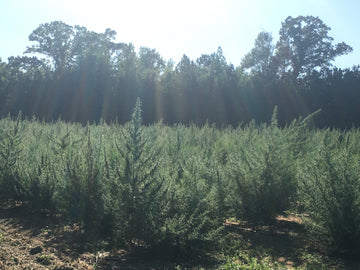 Metts organix Farm