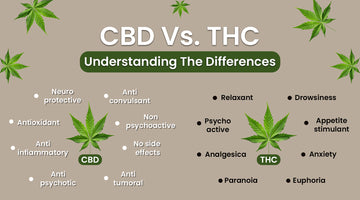 CBD vs. THC: Understanding the Differences